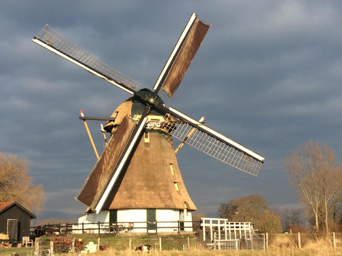 Mondriaanmolen, A Real Windmill Close To Amsterdam Abcoude Dış mekan fotoğraf