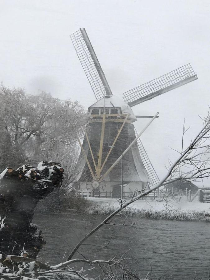 Mondriaanmolen, A Real Windmill Close To Amsterdam Abcoude Dış mekan fotoğraf